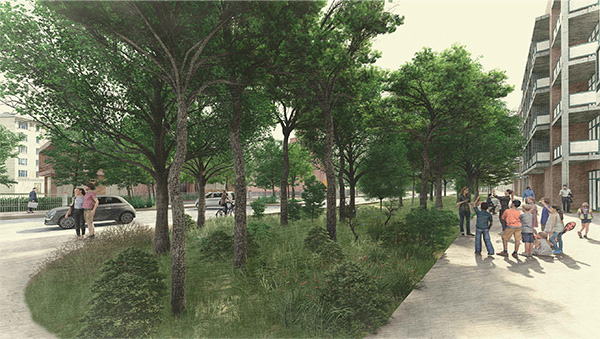 vista sull'area verde