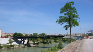 Ponte della Scienza